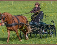 1POSIEUX 0224